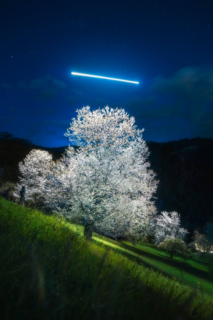 Blossoming cherry tree in Fraxern under a line of light drawn by a drone