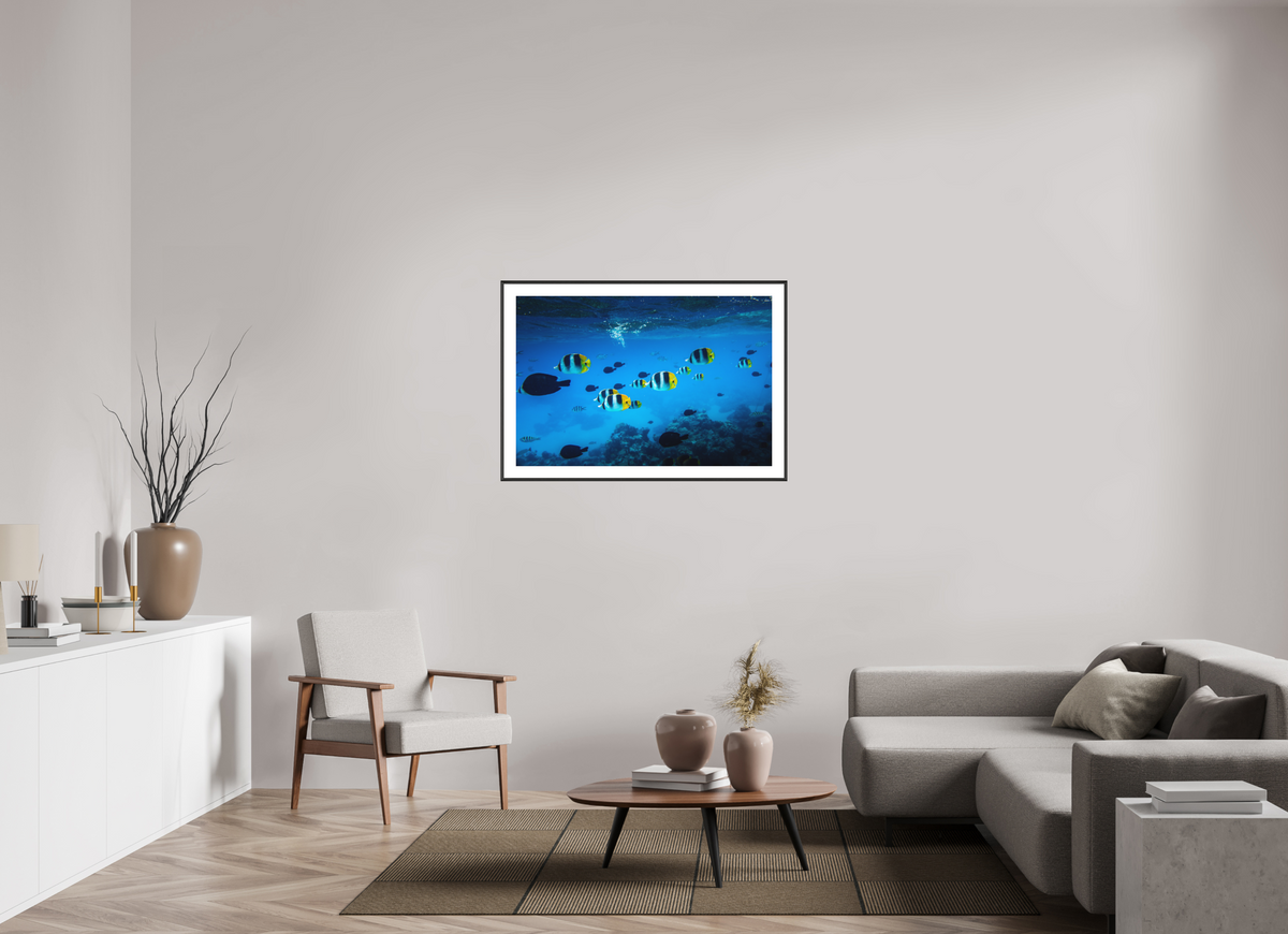 105 x 70 cm, Rahmen-Schwarz Tropical Fish, Bora Bora