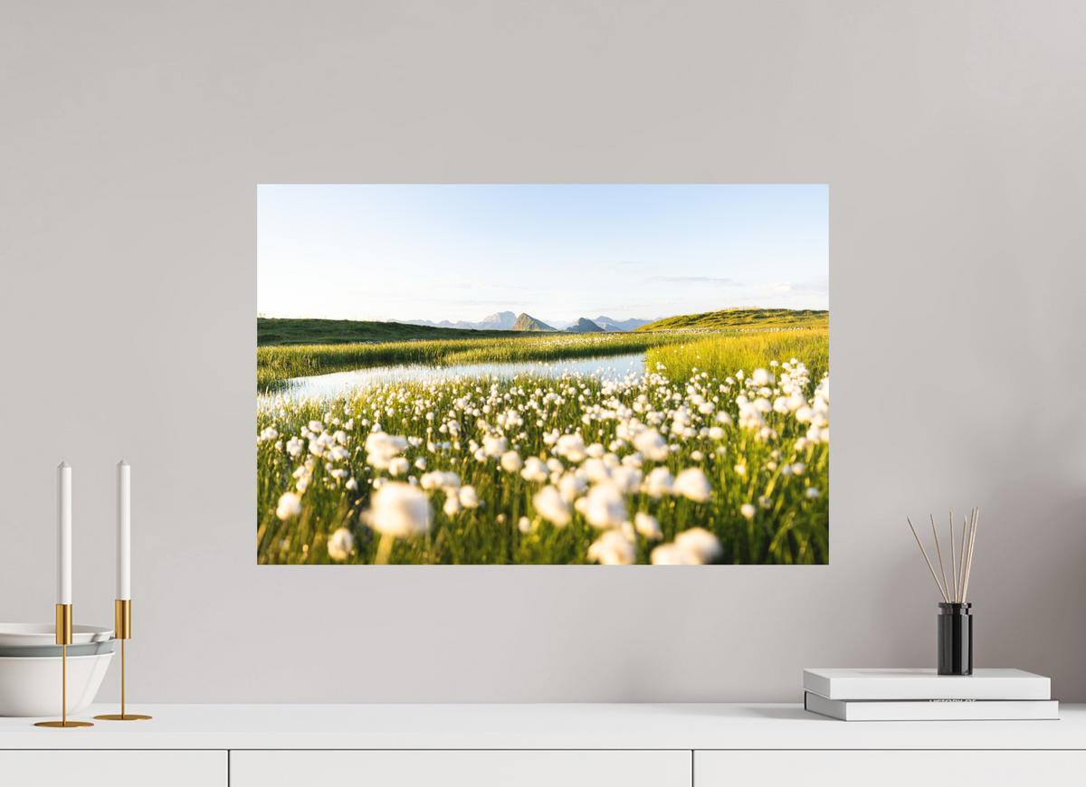 60 x 40 cm, Papierprint ohne Rahmen Alpine Cotton Grass by the Pond