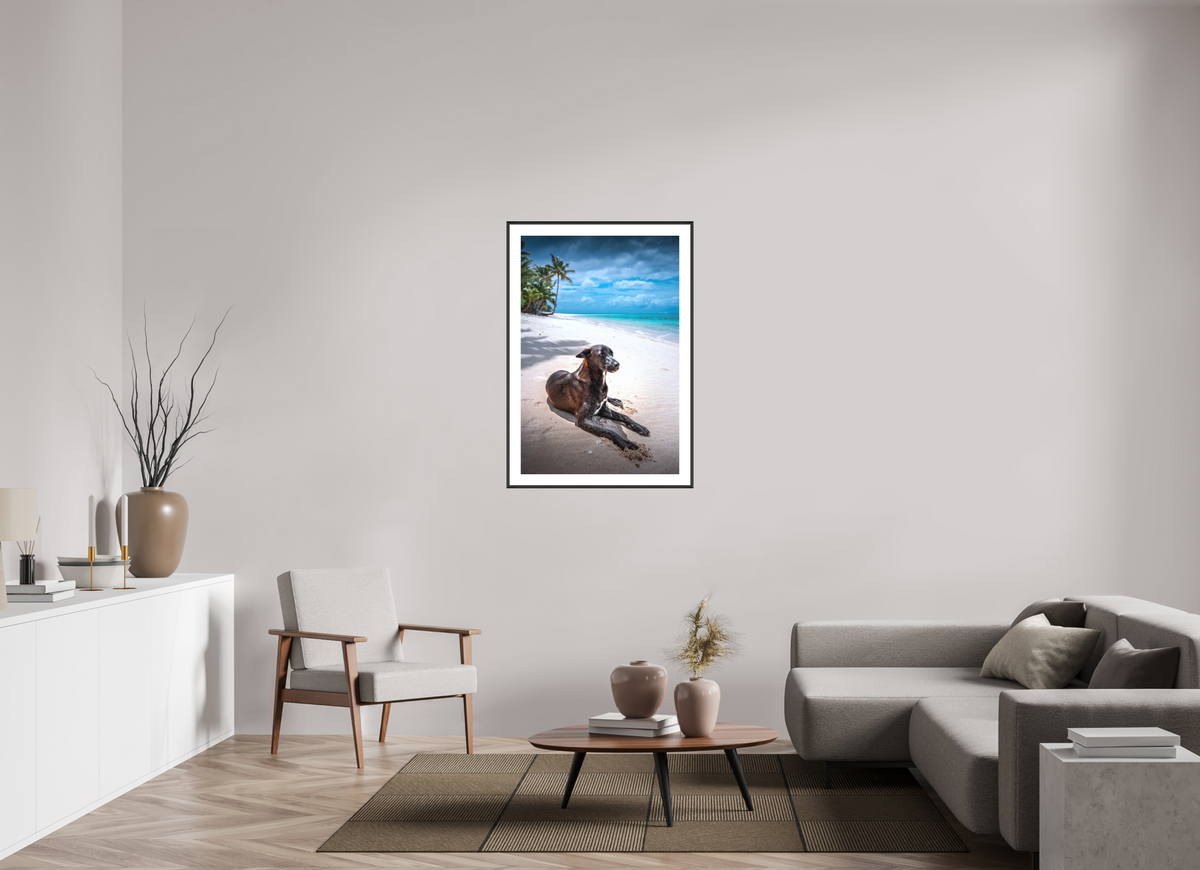 70 x 105 cm, Rahmen-Schwarz Beach Dog at Rarotonga, Cook Islands