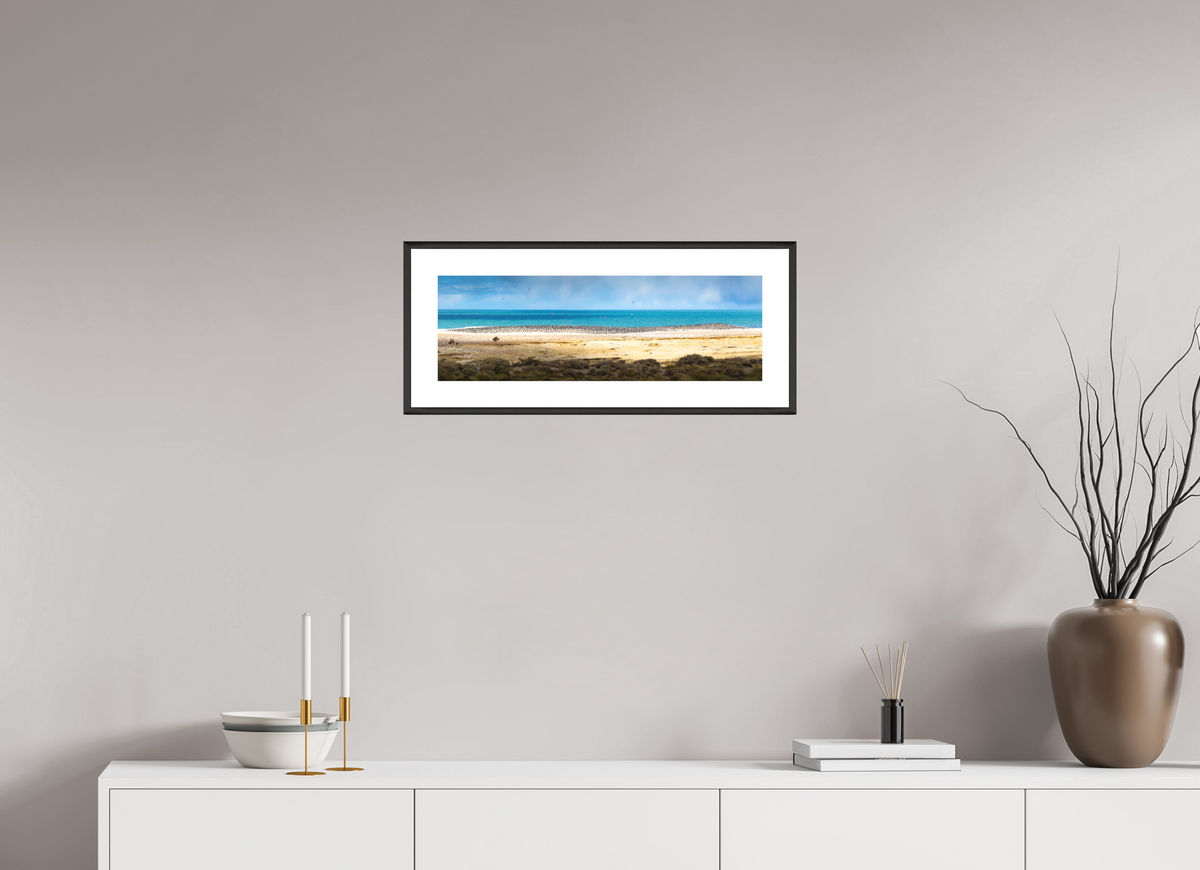60 x 20 cm, Rahmen-Schwarz Penguins on the Beach, Argentine Patagonia