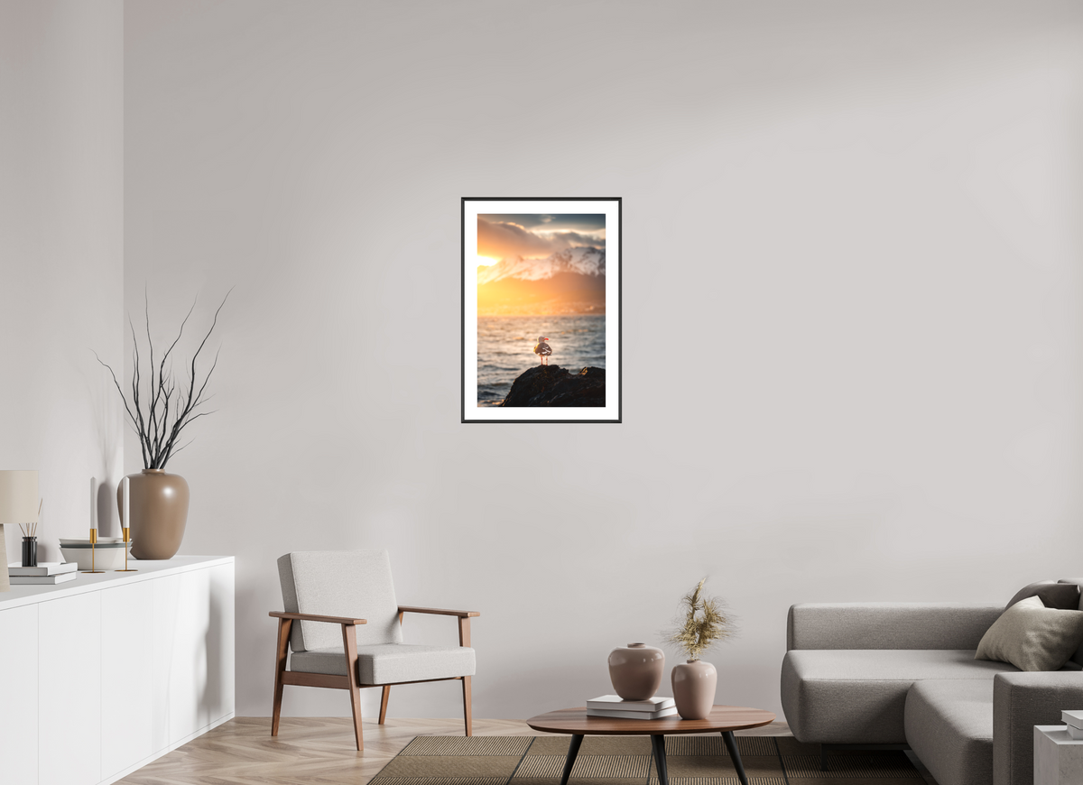 50 x 75 cm, Rahmen-Schwarz Seagull at Sunset, Ushuaia
