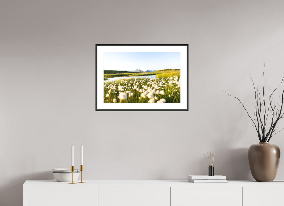 60 x 40 cm, Rahmen-Schwarz Alpine Cotton Grass by the Pond