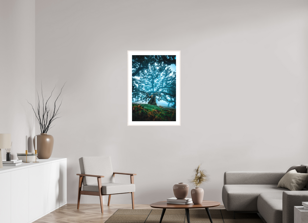 60 x 90 cm, Rahmen-Weiß Old Laurel Tree in the Light, Madeira