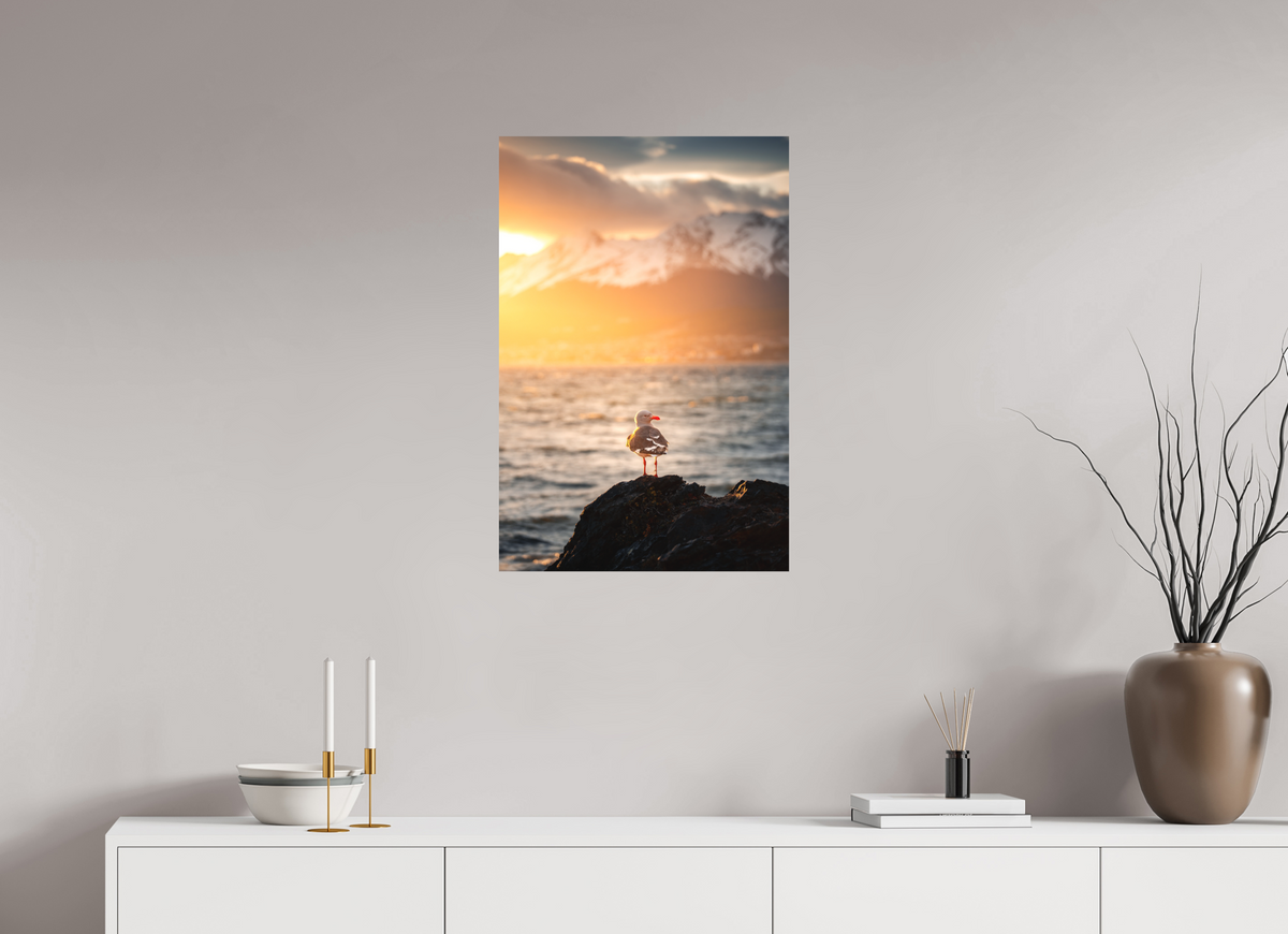 50 x 75 cm, Papierprint ohne Rahmen Seagull at Sunset, Ushuaia
