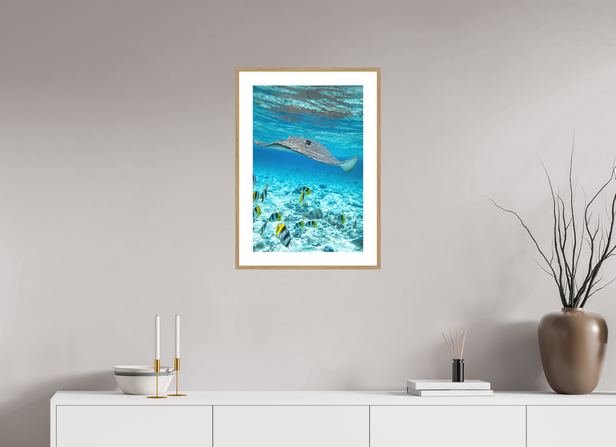 40 x 60 cm, Rahmen-Holzoptik Stingray off Rarotonga, Cook Islands