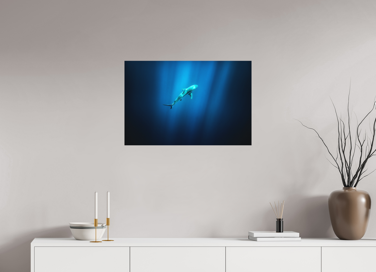 75 x 50 cm, Papierprint ohne Rahmen Shark in Hawaiian Blue Waters
