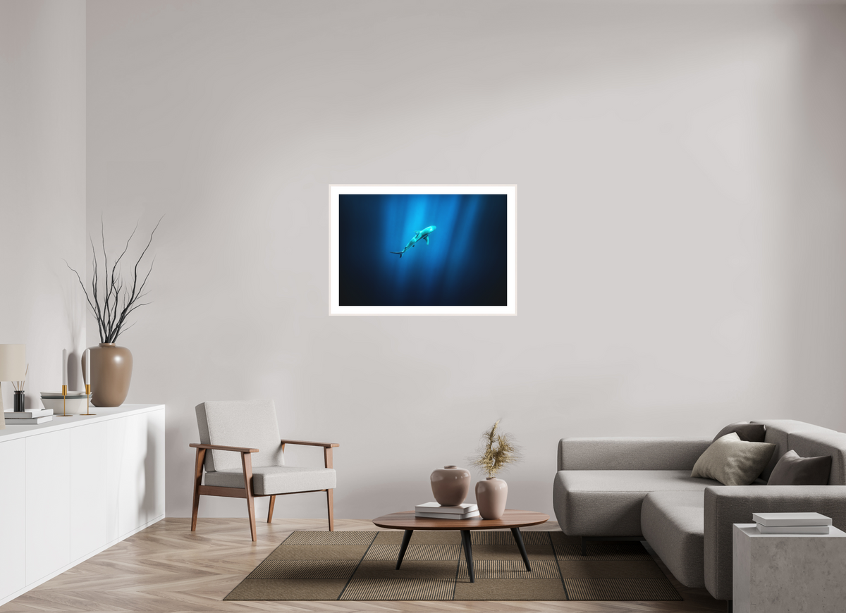105 x 70 cm, Rahmen-Weiß Shark in Hawaiian Blue Waters