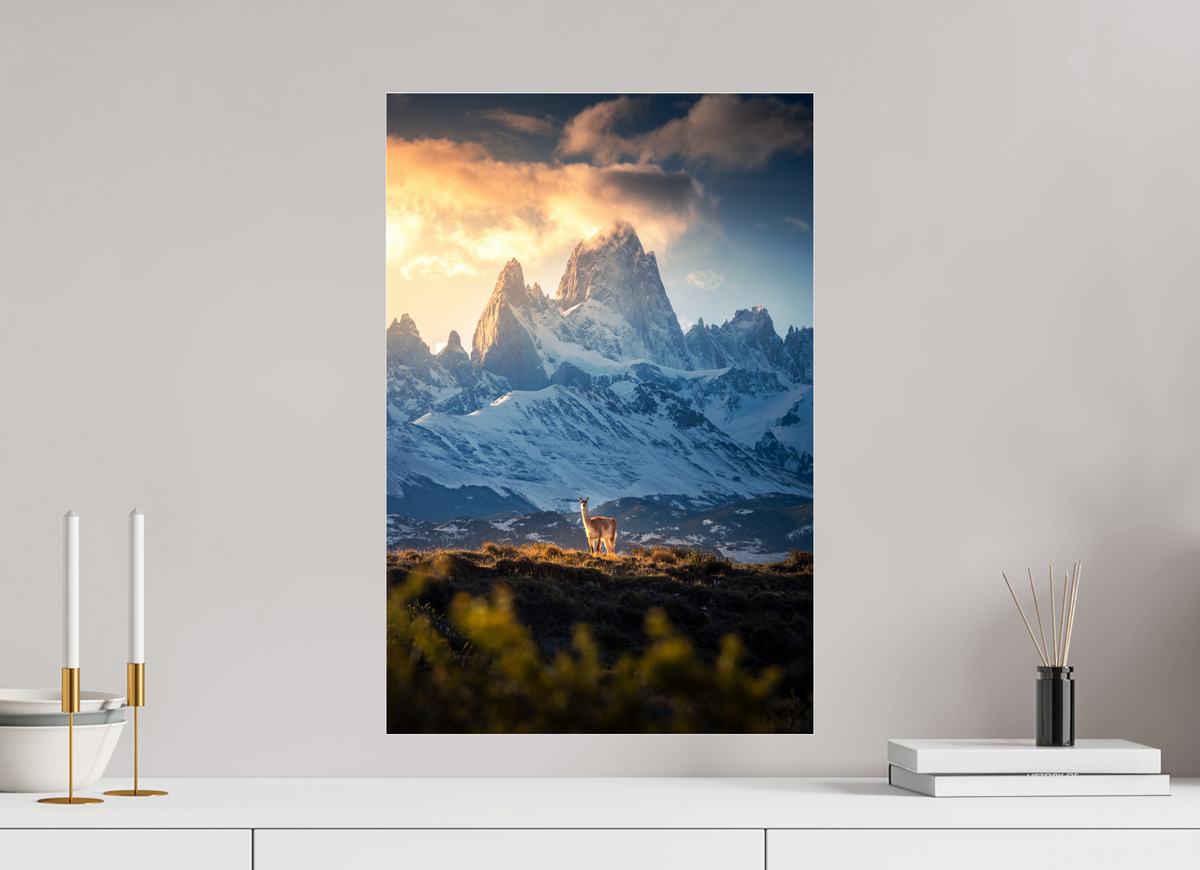 40 x 60 cm, Photo Print Under Acrylic Glass Guanaco below Fitz Roy in Golden Light, Patagonia