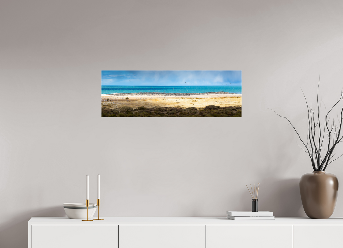 90 x 30 cm, Photo Print Under Acrylic Glass Penguins on the Beach, Argentine Patagonia