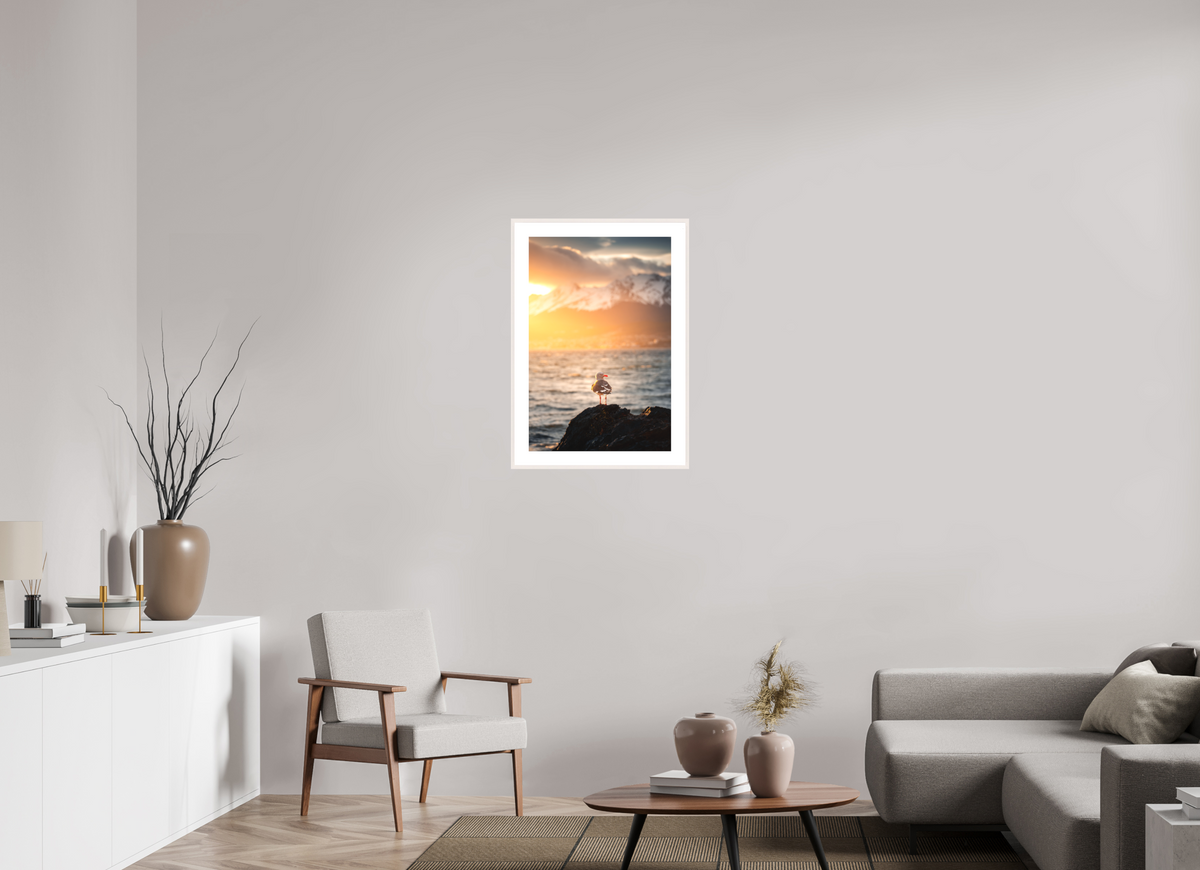 50 x 75 cm, Rahmen-Weiß Seagull at Sunset, Ushuaia