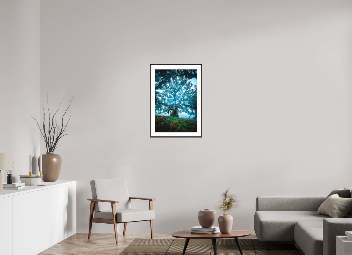 50 x 75 cm, Rahmen-Schwarz Old Laurel Tree in the Light, Madeira