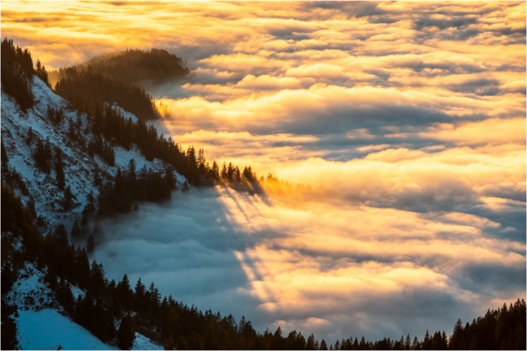 Main image Sea of Fog at the Hohe Matona, Vorarlberg