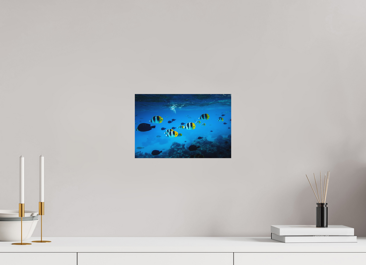 30 x 20 cm, Papierprint ohne Rahmen Tropical Fish, Bora Bora