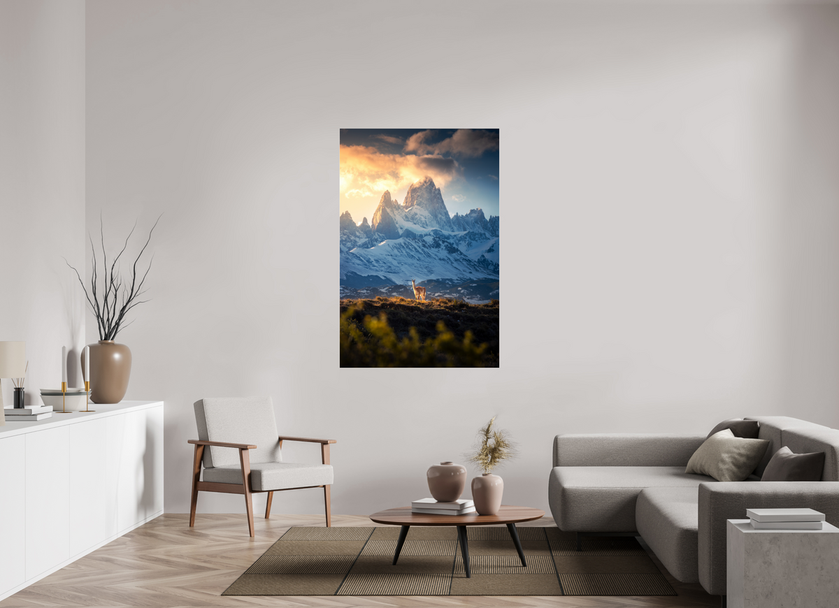 100 x 150 cm, Photo Print Under Acrylic Glass Guanaco below Fitz Roy in Golden Light, Patagonia