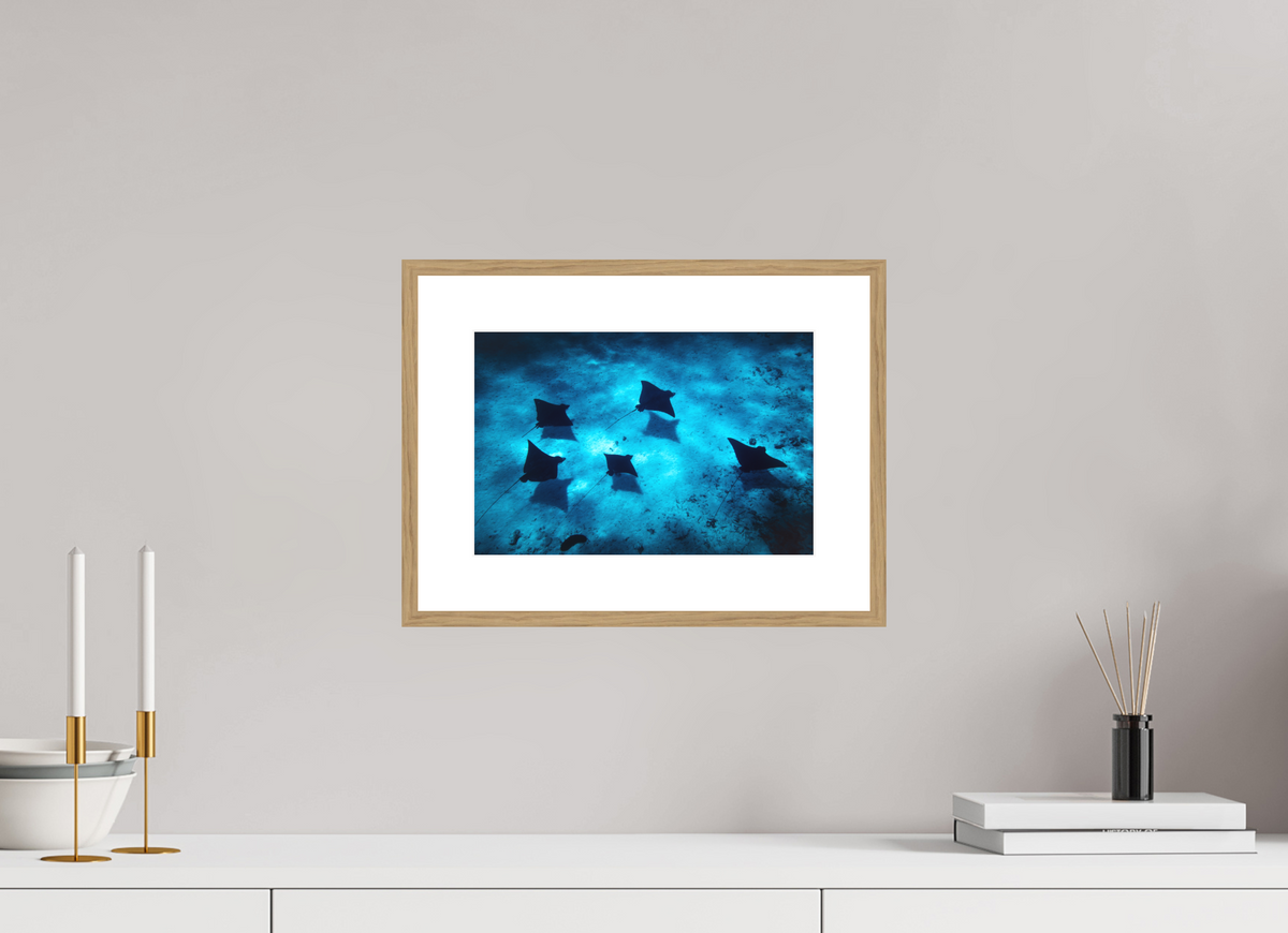 30 x 20 cm, Rahmen-Holzoptik Eagle Rays in the Lagoon, Bora Bora