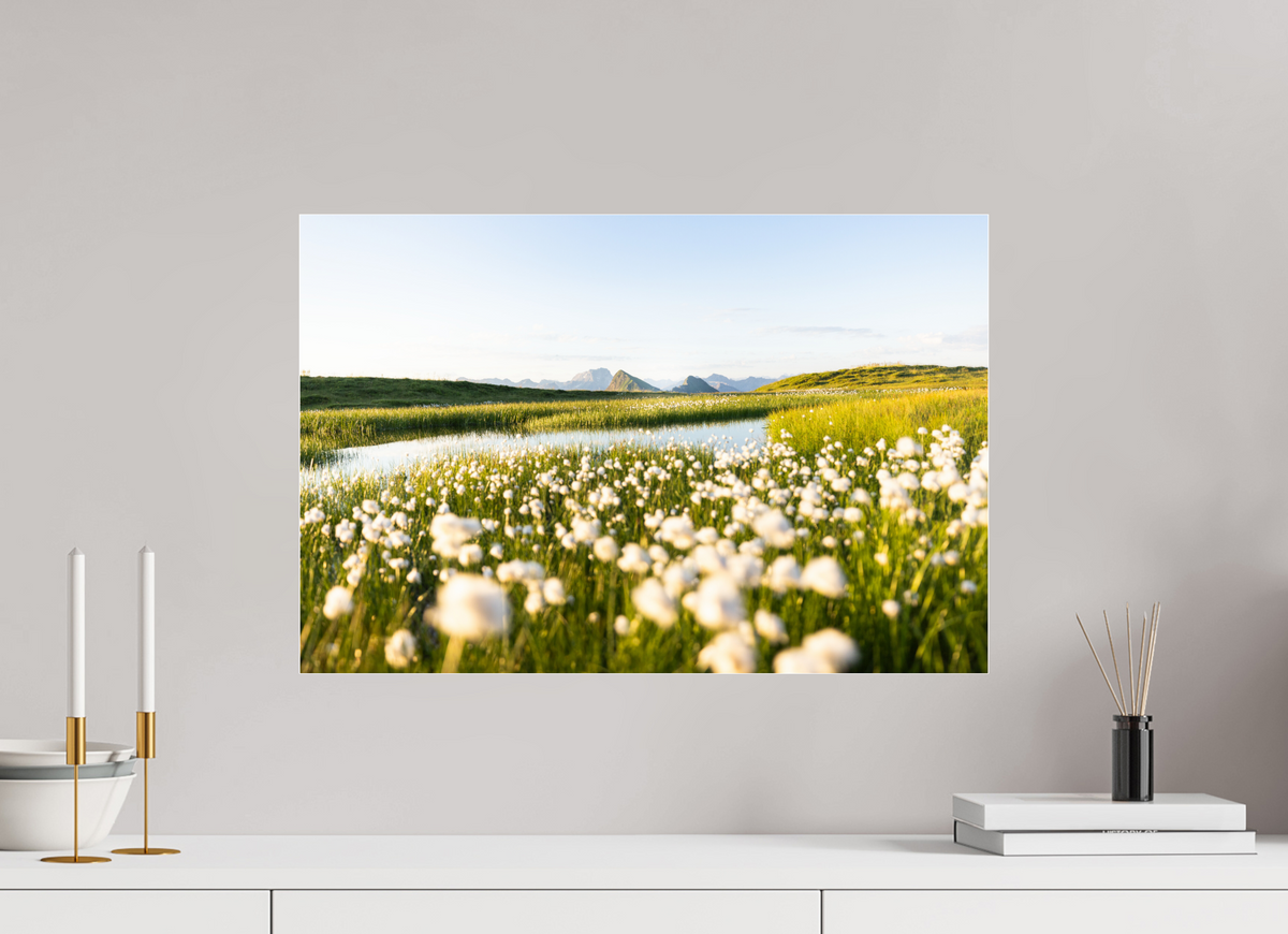 60 x 40 cm, Photo Print Under Acrylic Glass Alpine Cotton Grass by the Pond
