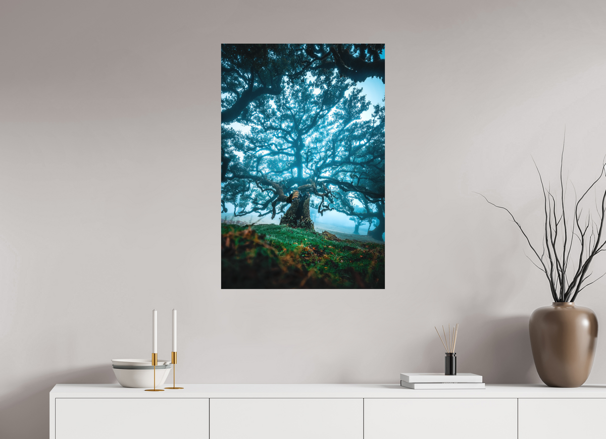 60 x 90 cm, Papierprint ohne Rahmen Old Laurel Tree in the Light, Madeira