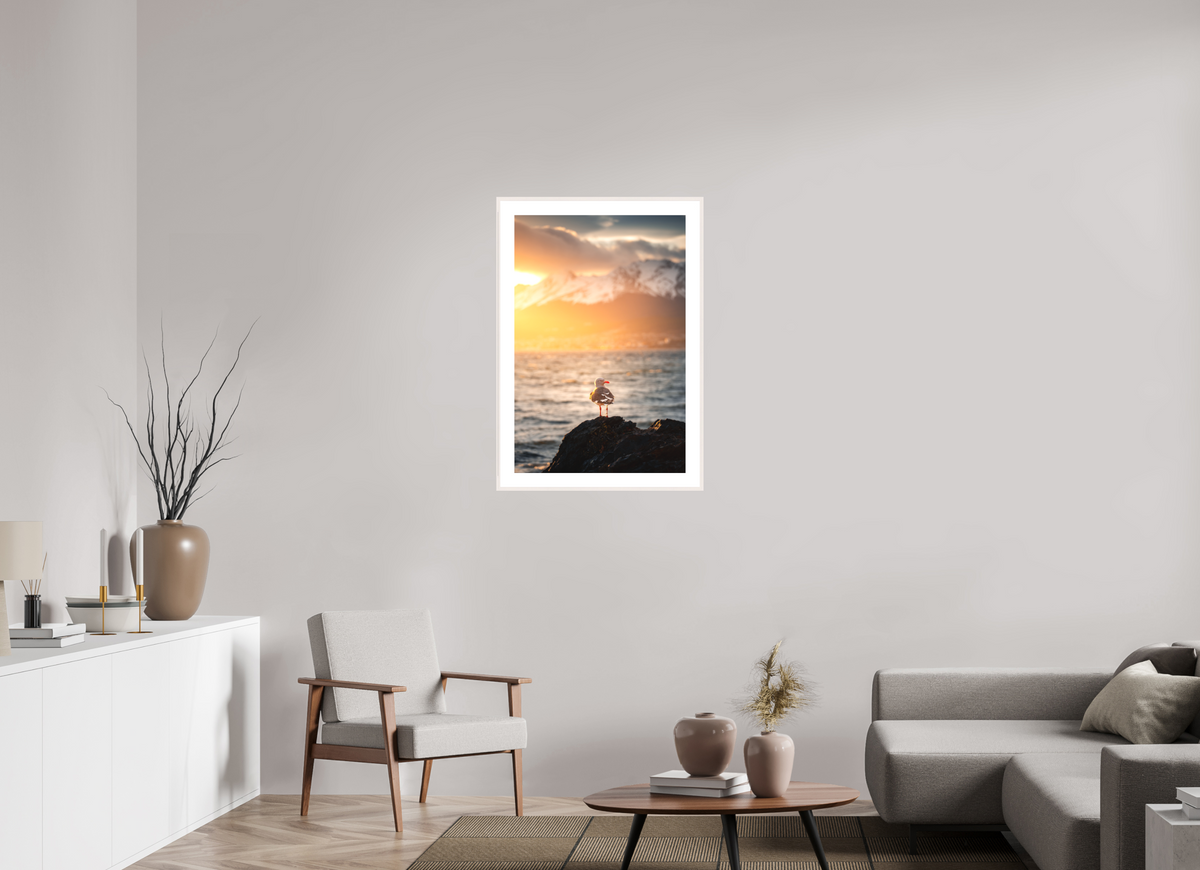 60 x 90 cm, Rahmen-Weiß Seagull at Sunset, Ushuaia