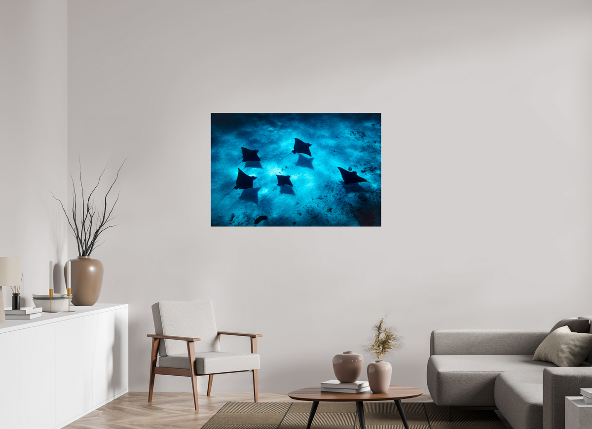 120 x 80 cm, Photo Print Under Acrylic Glass Eagle Rays in the Lagoon, Bora Bora