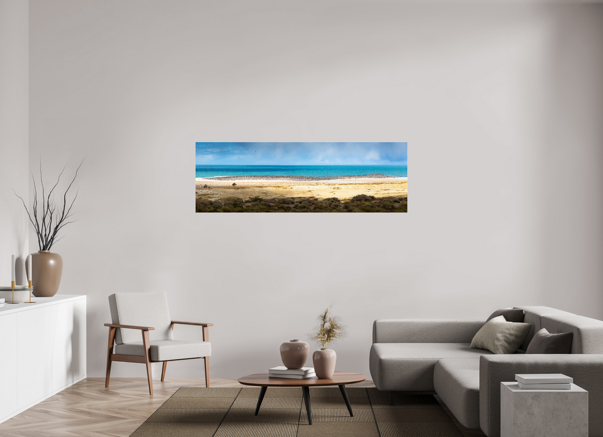 180 x 60 cm, Photo Print Under Acrylic Glass Penguins on the Beach, Argentine Patagonia