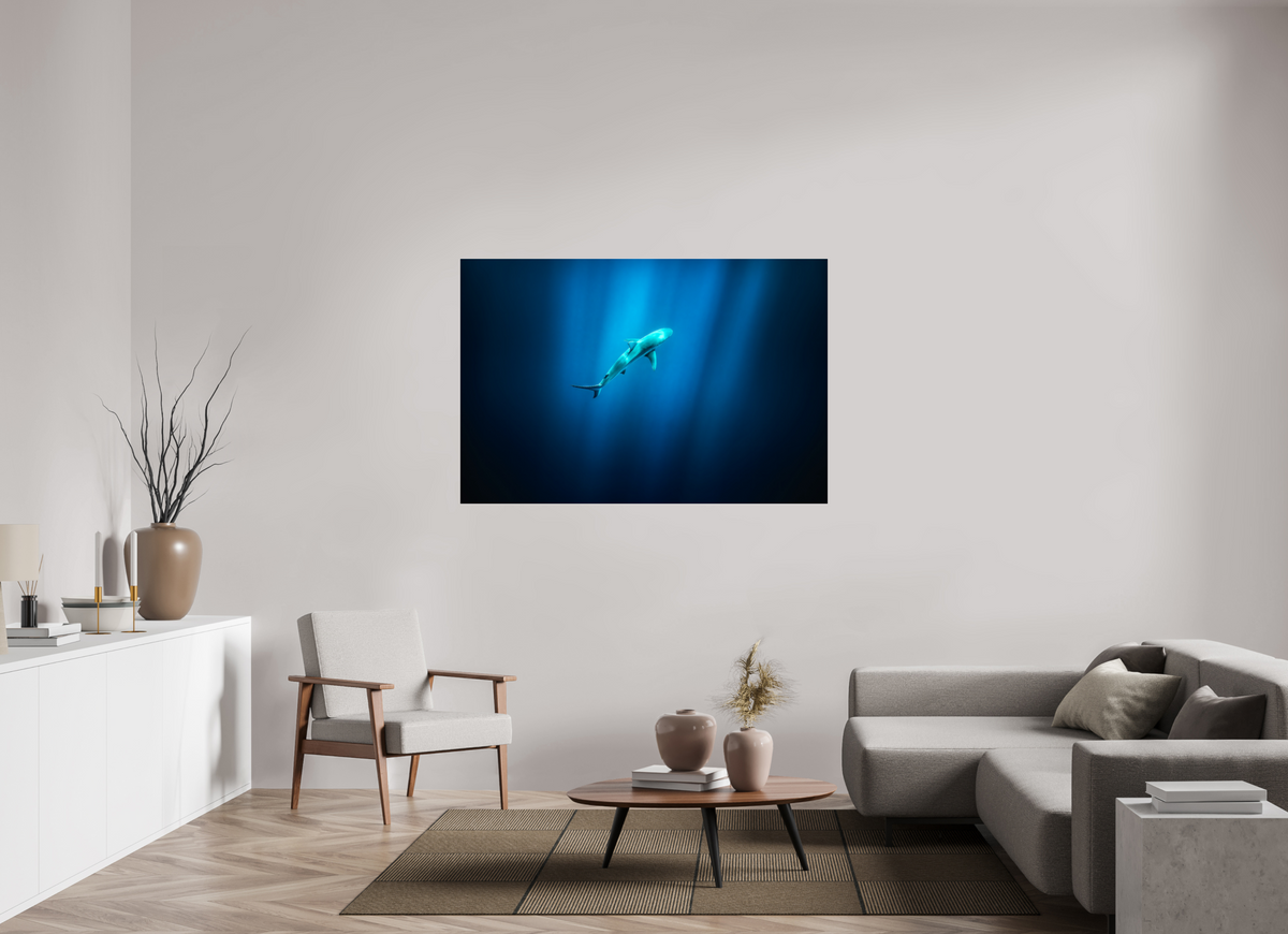 150 x 100 cm, Photo Print Under Acrylic Glass Shark in Hawaiian Blue Waters
