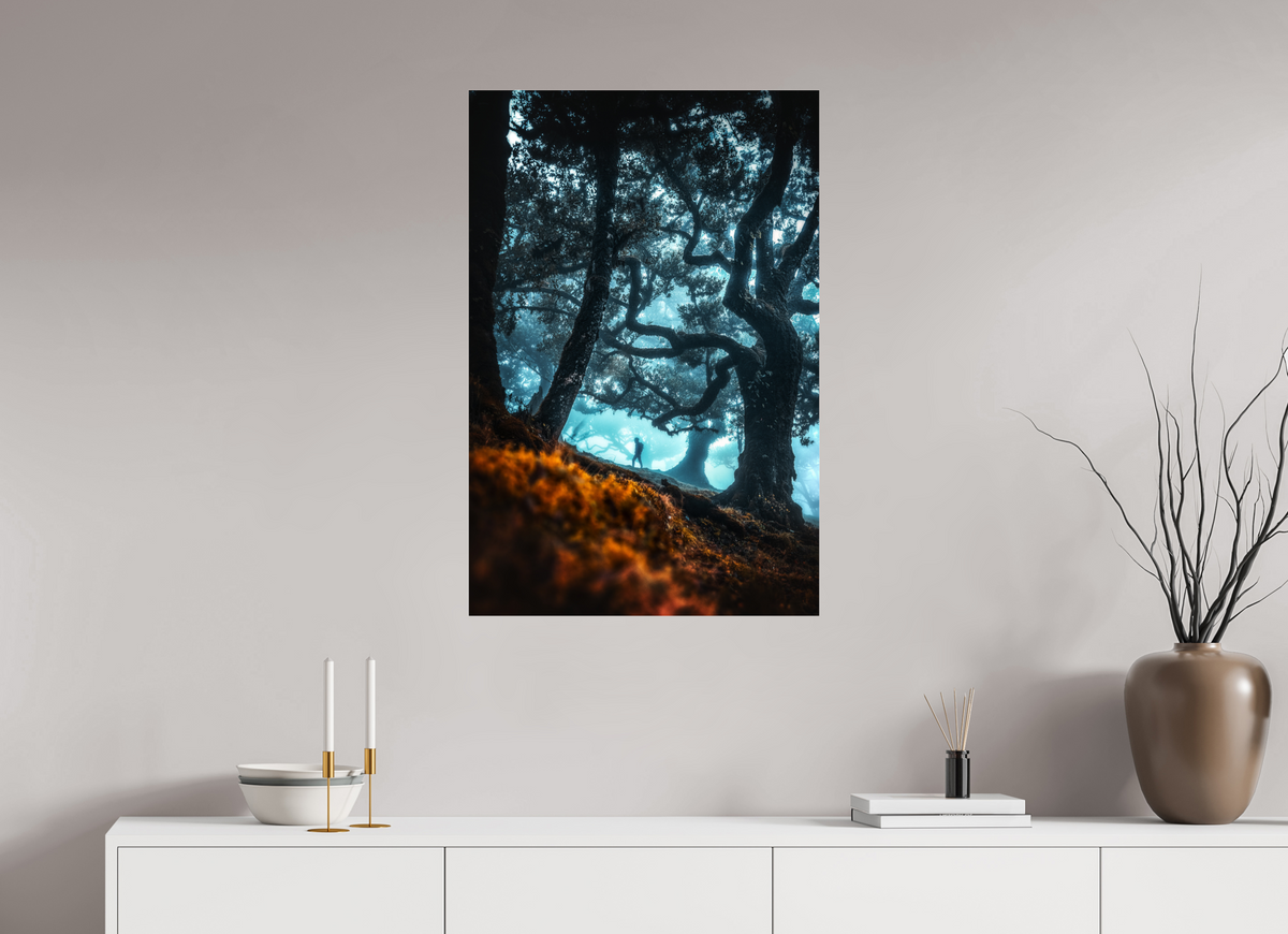 60 x 90 cm, Photo Print Under Acrylic Glass Enchanted Forest, Fanal, Madeira
