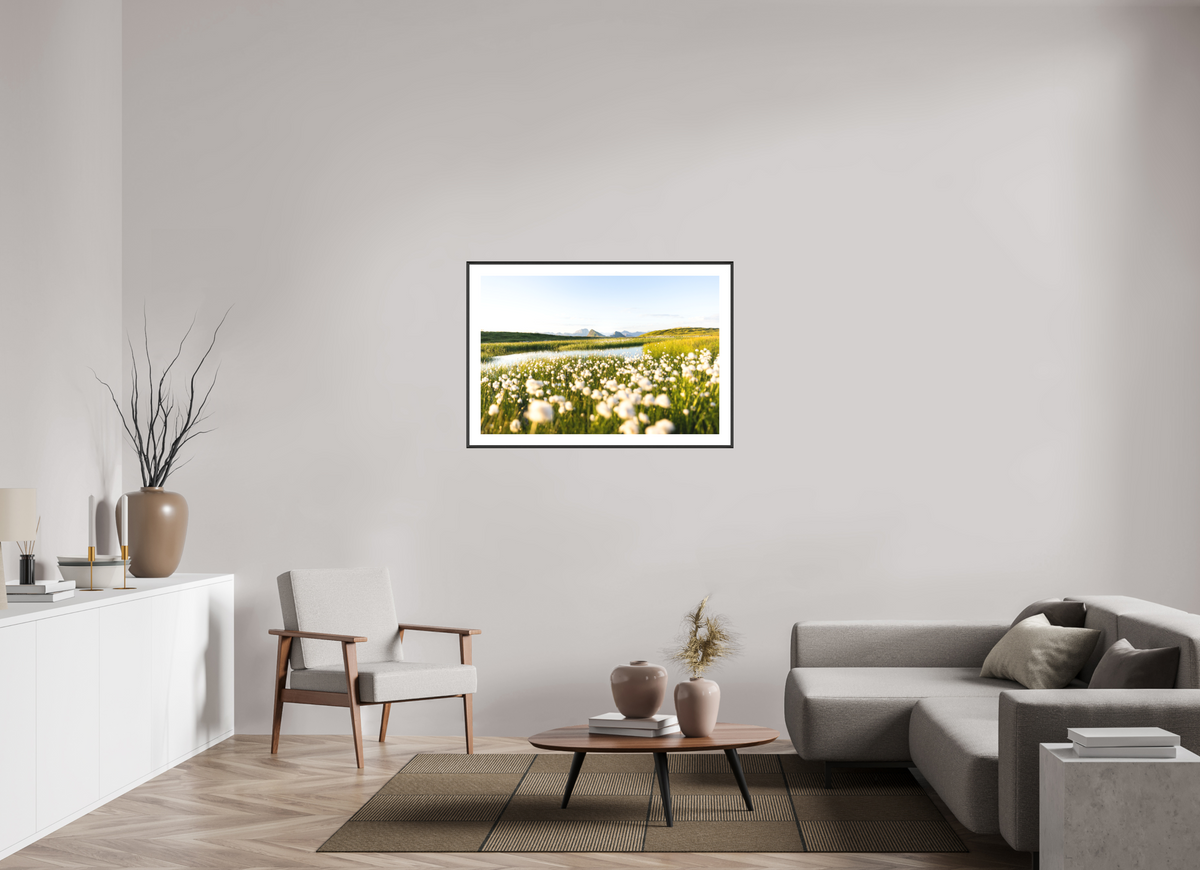 105 x 70 cm, Rahmen-Schwarz Alpine Cotton Grass by the Pond