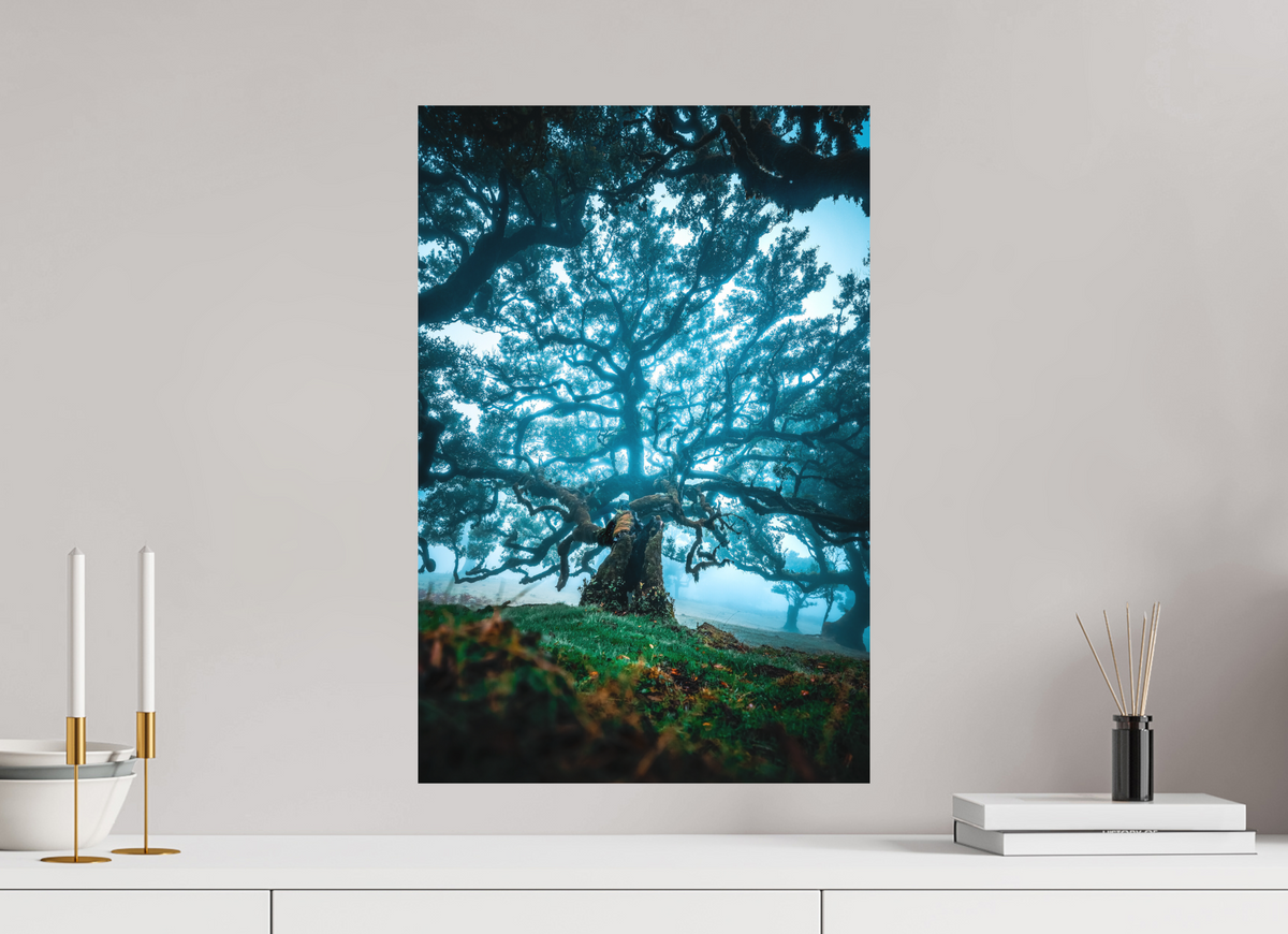 40 x 60 cm, Papierprint ohne Rahmen Old Laurel Tree in the Light, Madeira