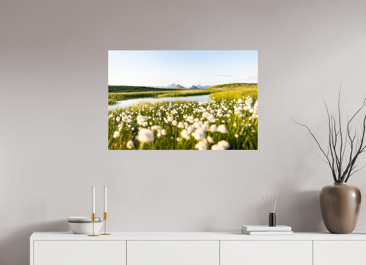 90 x 60 cm, Photo Print Under Acrylic Glass Alpine Cotton Grass by the Pond