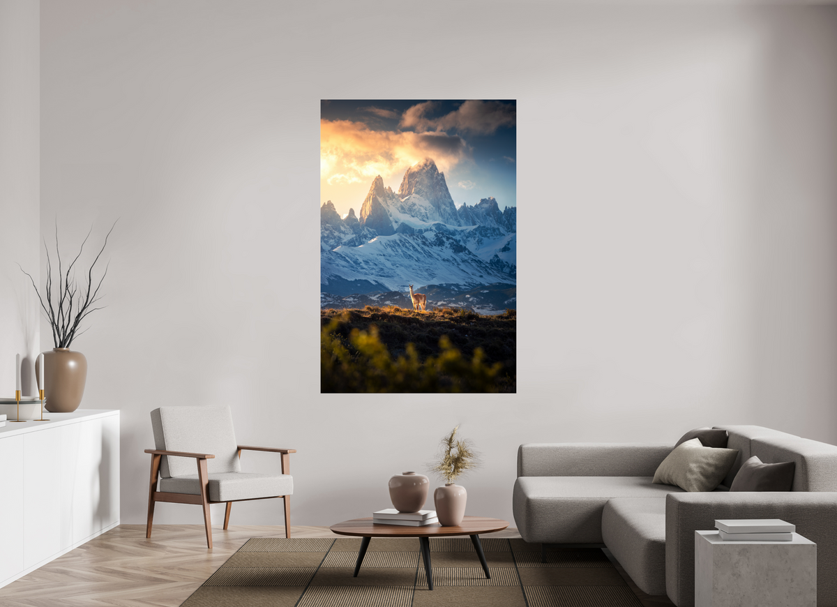 120 x 180 cm, Photo Print Under Acrylic Glass Guanaco below Fitz Roy in Golden Light, Patagonia