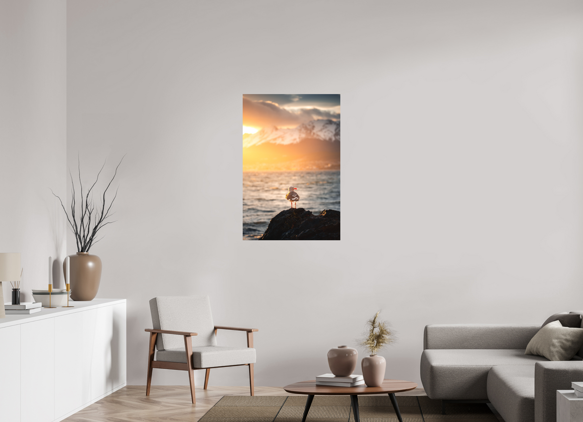 70 x 105 cm, Papierprint ohne Rahmen Seagull at Sunset, Ushuaia