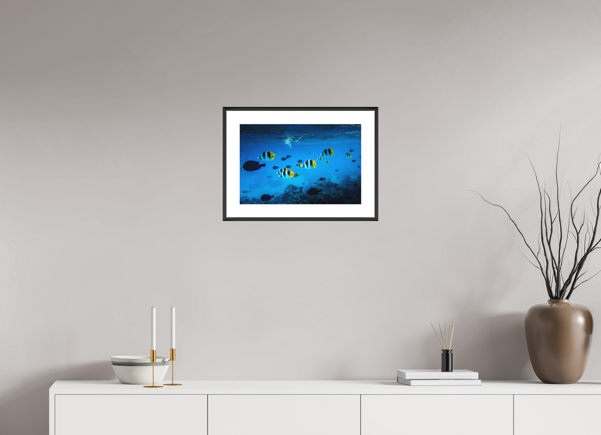 45 x 30 cm, Rahmen-Schwarz Tropical Fish, Bora Bora
