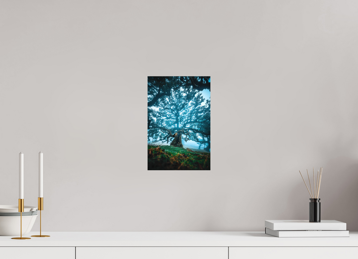 20 x 30 cm, Papierprint ohne Rahmen Old Laurel Tree in the Light, Madeira