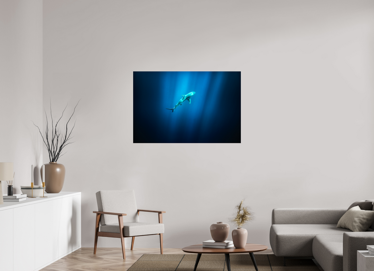 120 x 80 cm, Photo Print Under Acrylic Glass Shark in Hawaiian Blue Waters