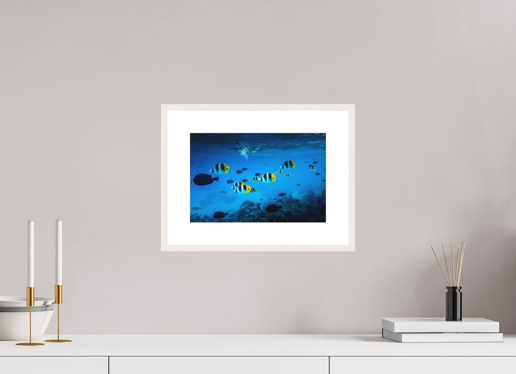 30 x 20 cm, Rahmen-Weiß Tropical Fish, Bora Bora