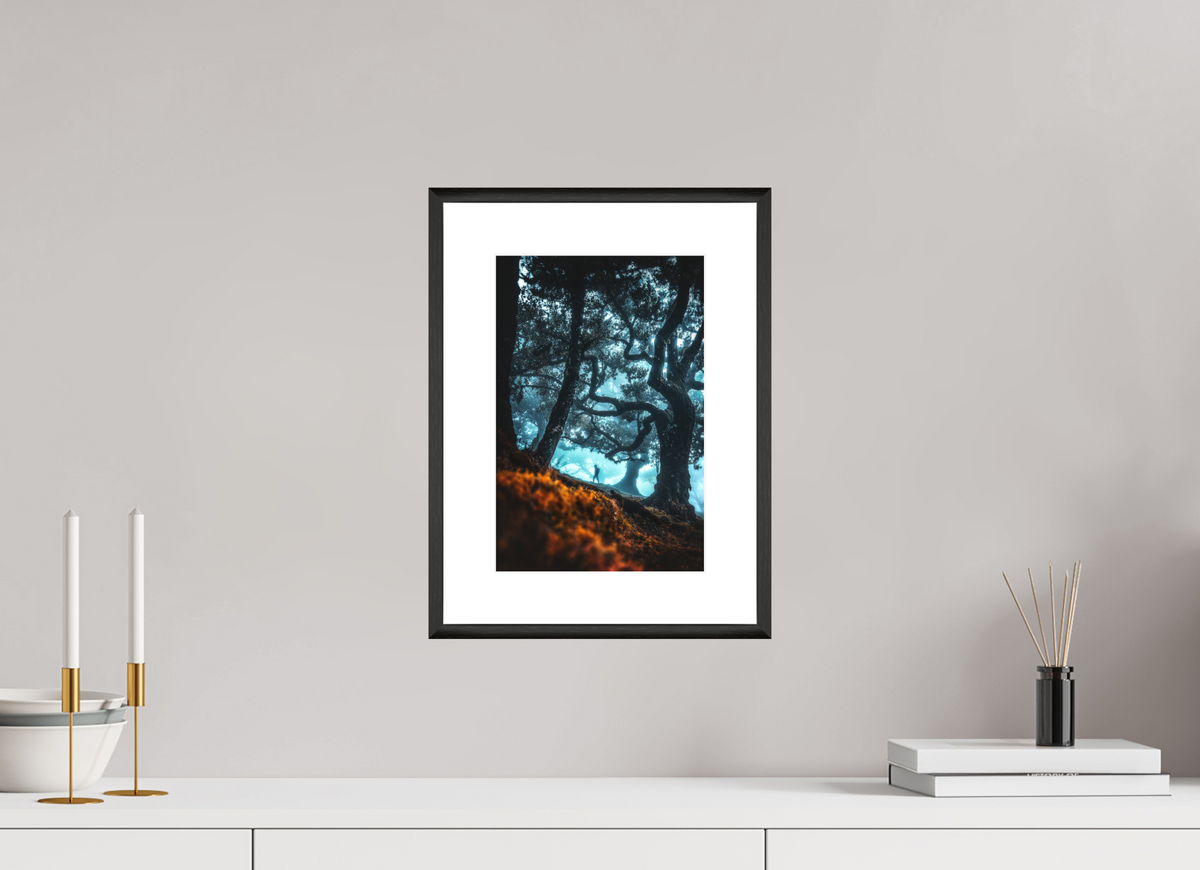 20 x 30 cm, Rahmen-Schwarz Enchanted Forest, Fanal, Madeira
