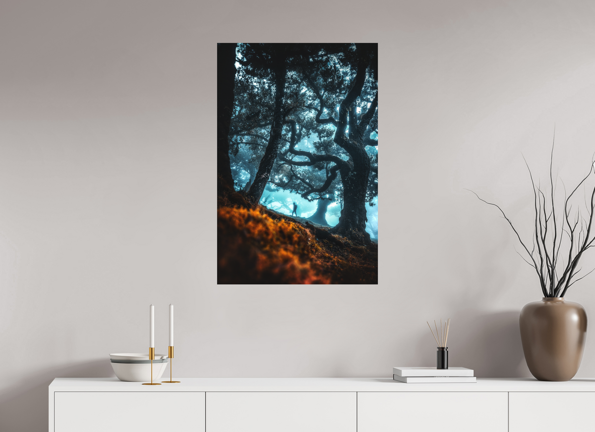 60 x 90 cm, Papierprint ohne Rahmen Enchanted Forest, Fanal, Madeira
