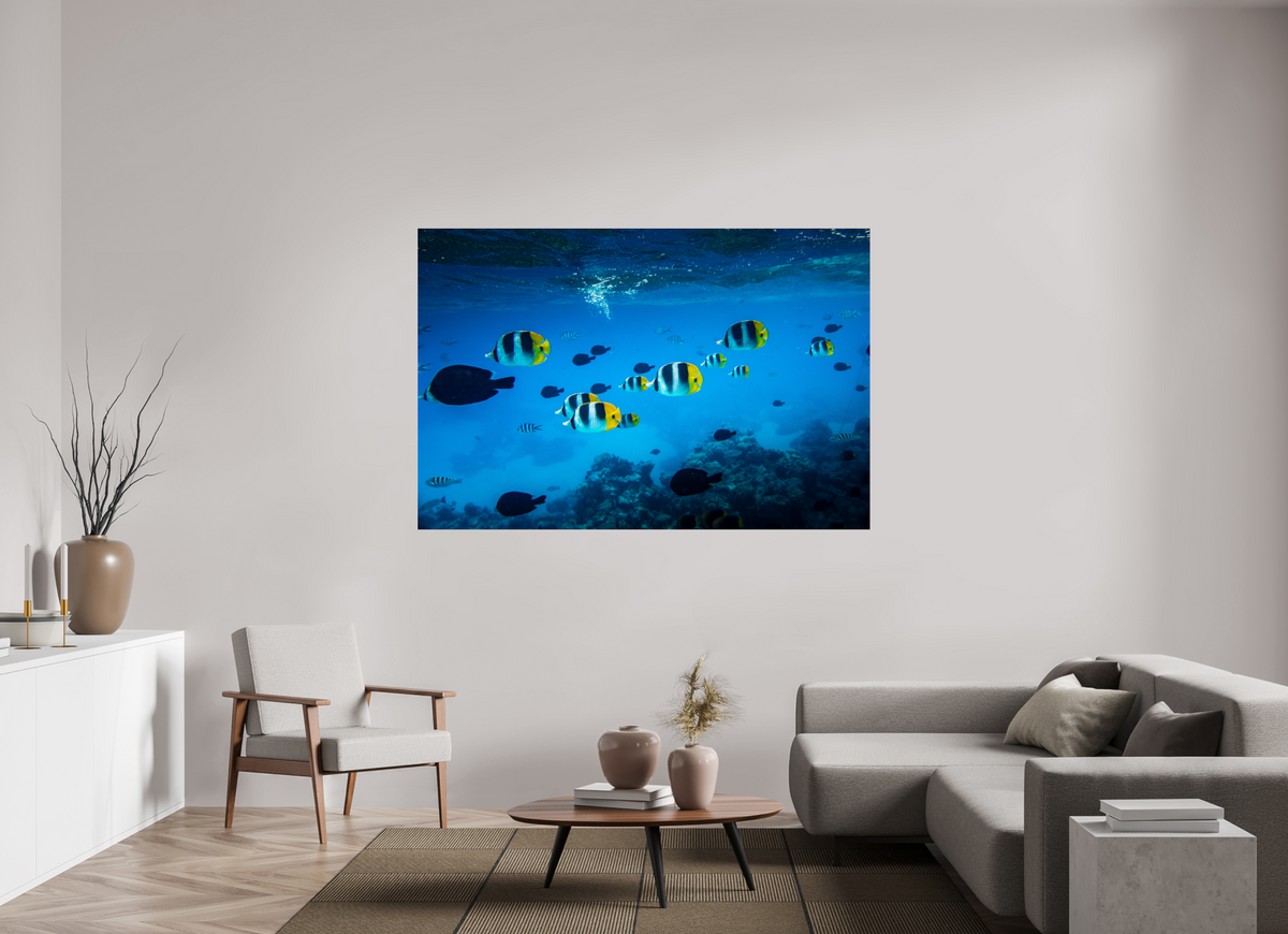 180 x 120 cm, Photo Print Under Acrylic Glass Tropical Fish, Bora Bora
