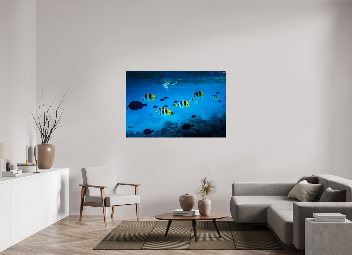 150 x 100 cm, Photo Print Under Acrylic Glass Tropical Fish, Bora Bora