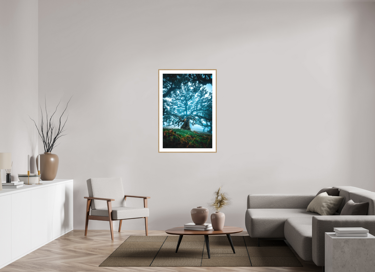 70 x 105 cm, Rahmen-Holzoptik Old Laurel Tree in the Light, Madeira