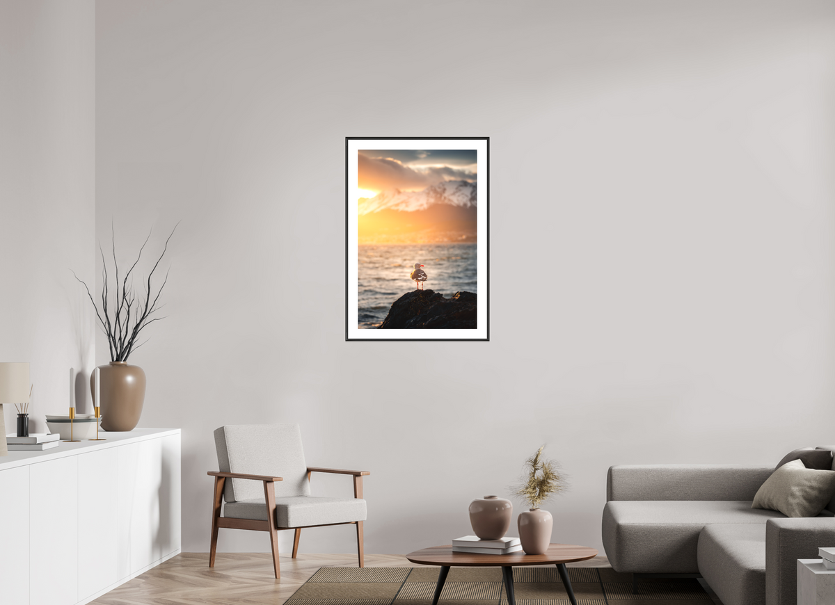 60 x 90 cm, Rahmen-Schwarz Seagull at Sunset, Ushuaia