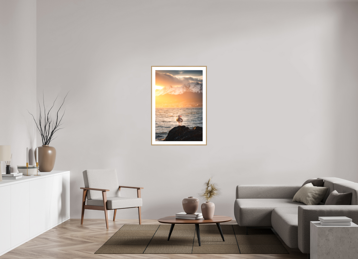 70 x 105 cm, Rahmen-Holzoptik Seagull at Sunset, Ushuaia
