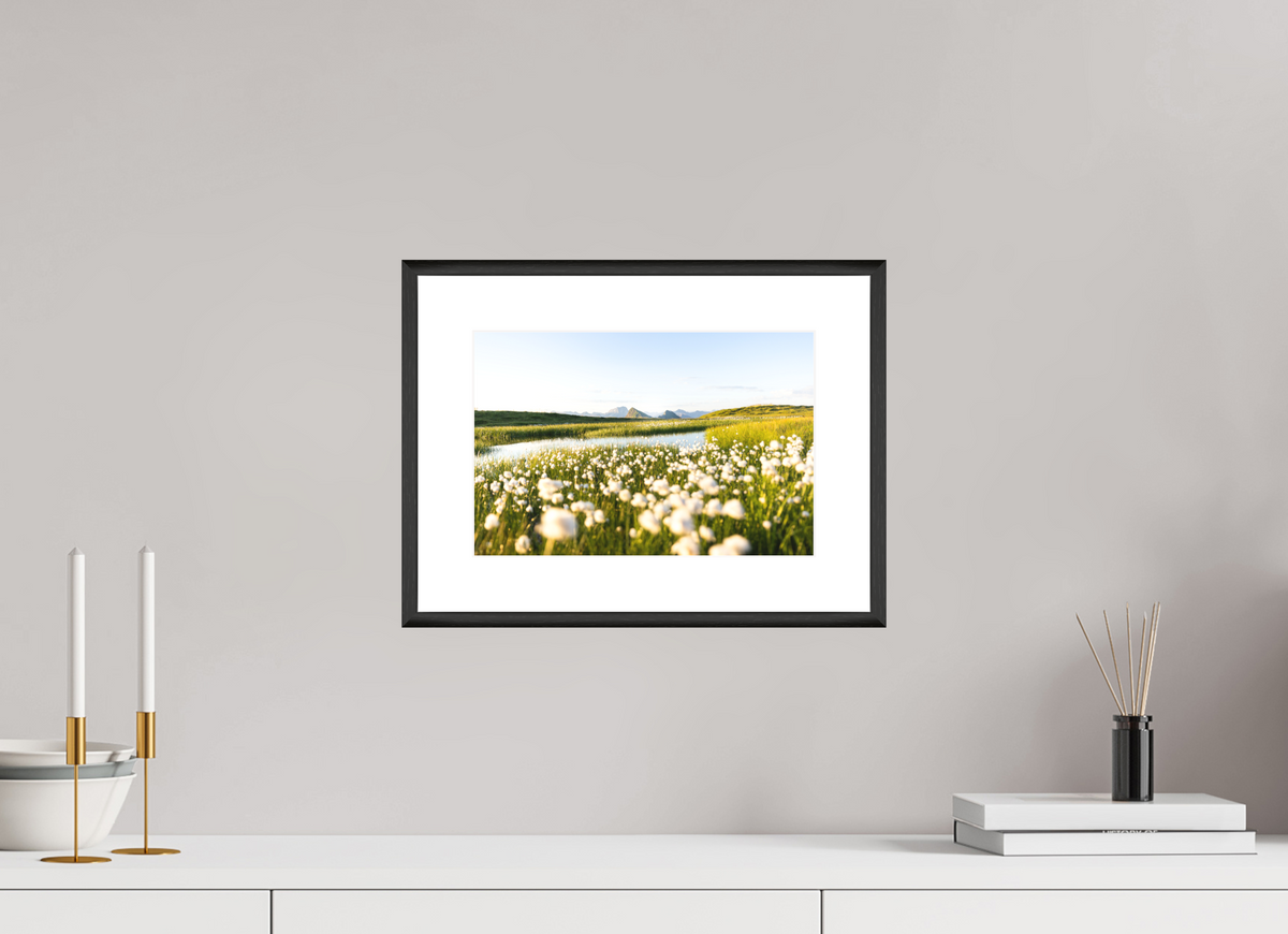 30 x 20 cm, Rahmen-Schwarz Alpine Cotton Grass by the Pond