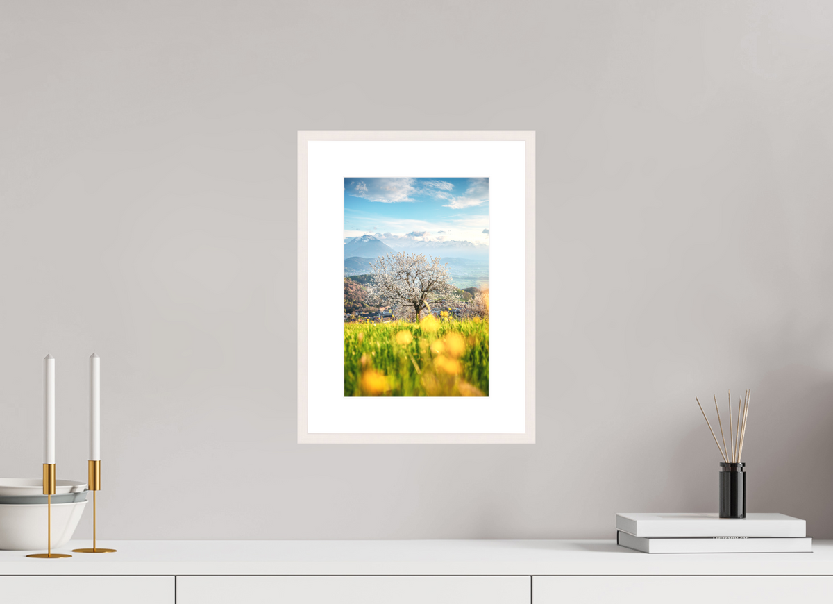 20 x 30 cm, Rahmen-Weiß Cherry Blossom in Fraxern, Vorarlberg