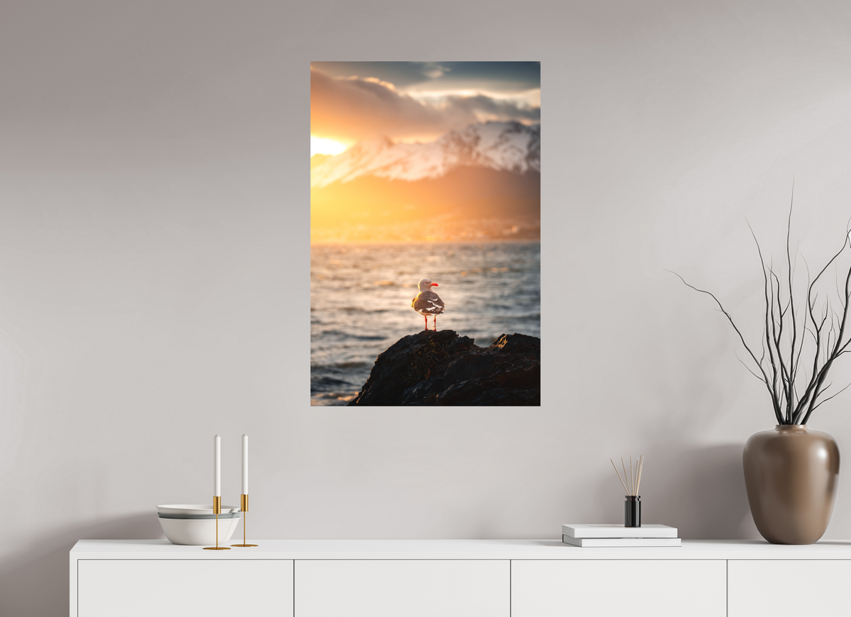 60 x 90 cm, Papierprint ohne Rahmen Seagull at Sunset, Ushuaia