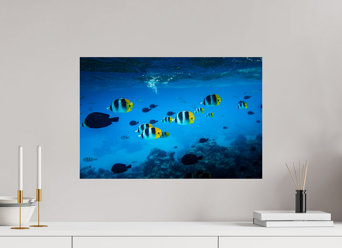 60 x 40 cm, Photo Print Under Acrylic Glass Tropical Fish, Bora Bora