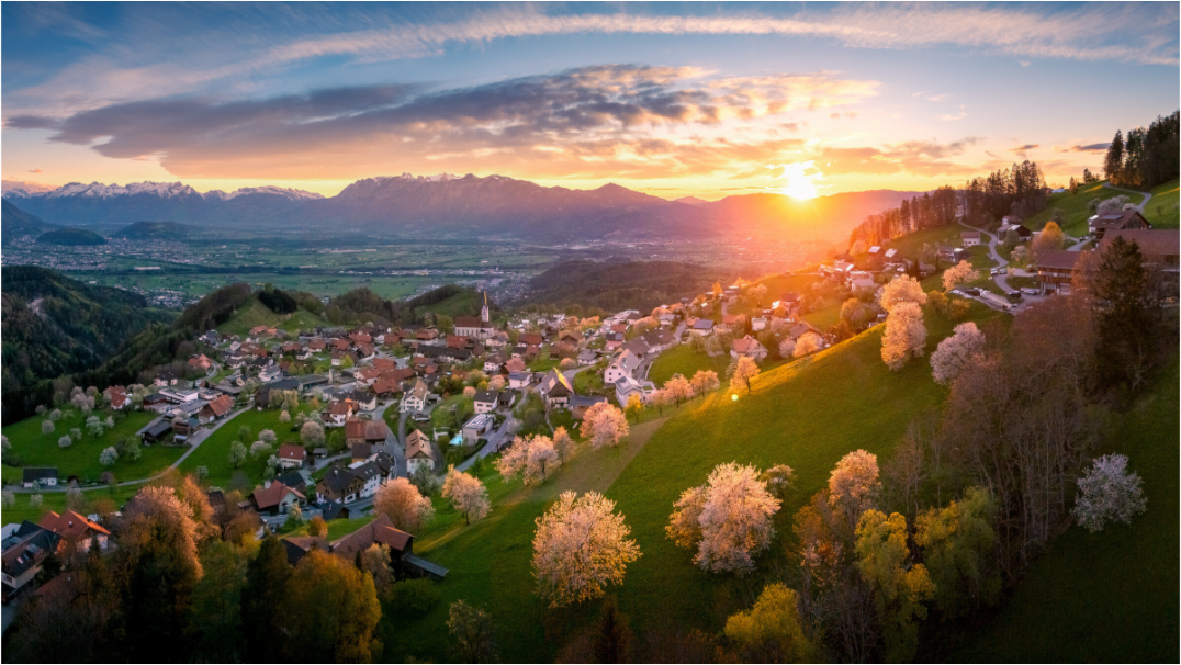 Main image Cherry Blossoms at Sunset, Fraxern Vorarlberg