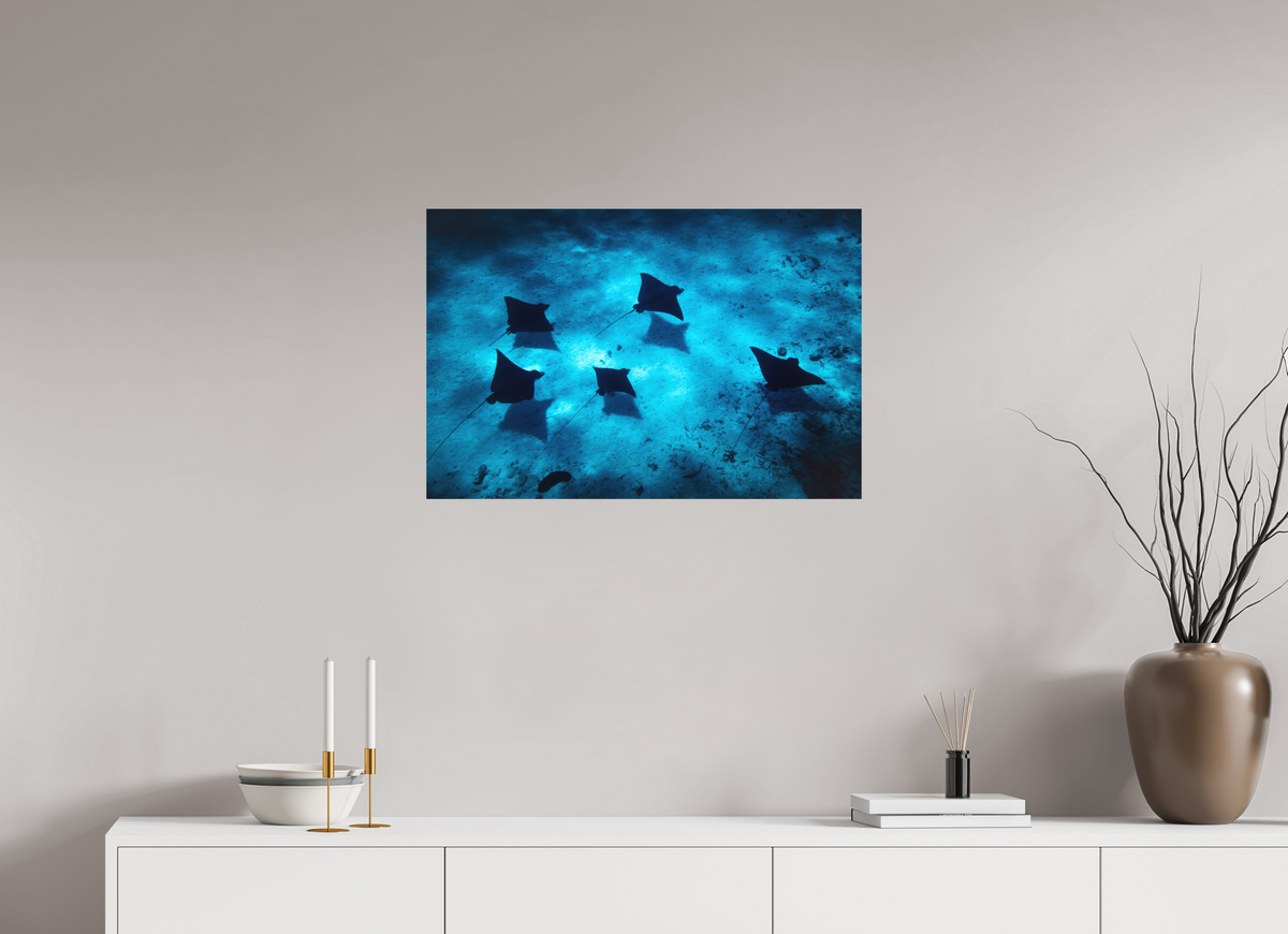 75 x 50 cm, Papierprint ohne Rahmen Eagle Rays in the Lagoon, Bora Bora