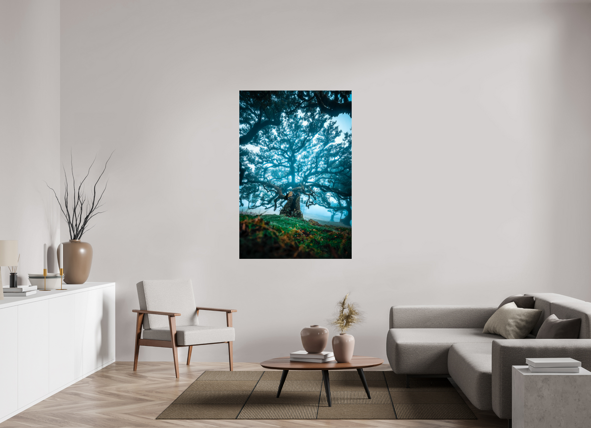 100 x 150 cm, Photo Print Under Acrylic Glass Old Laurel Tree in the Light, Madeira